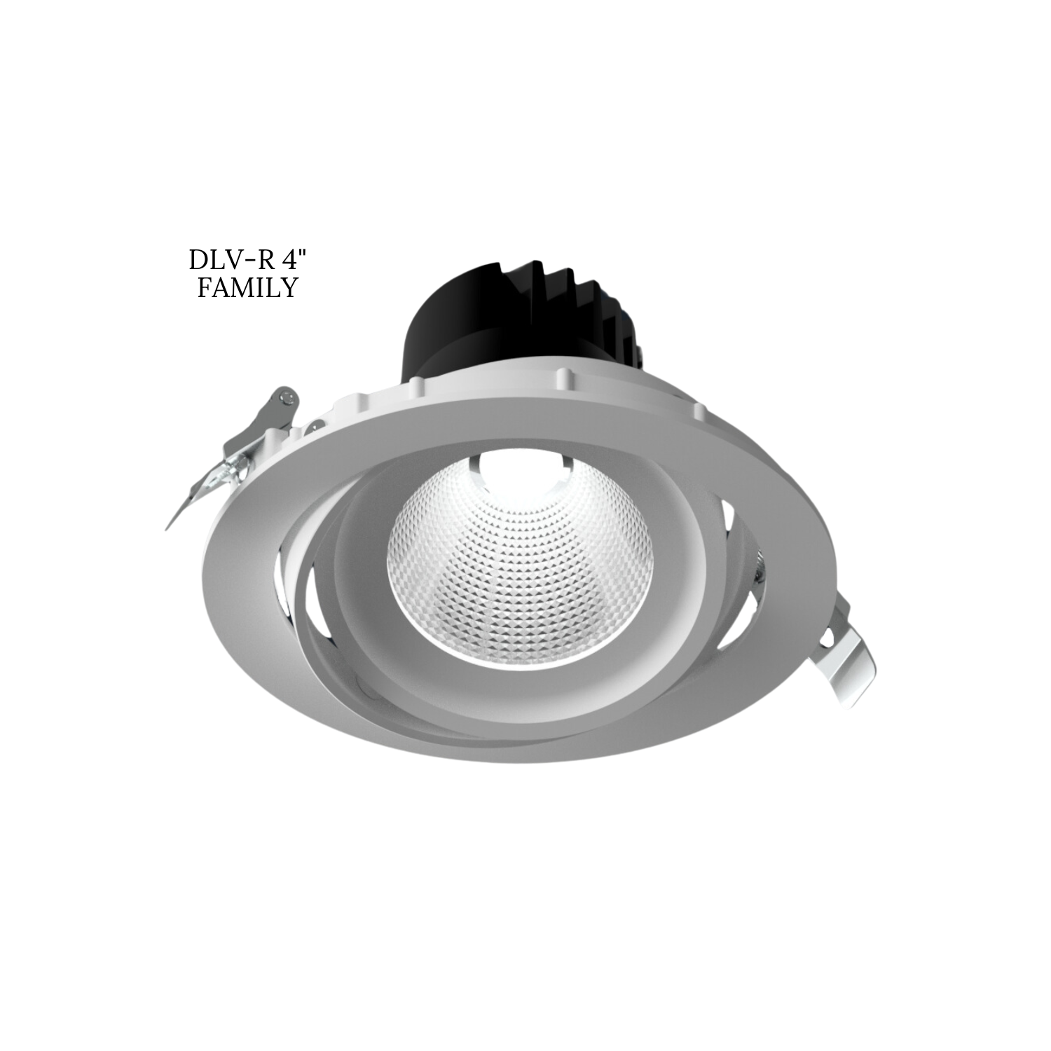 DLV-R GMBL Round Dimmed (10Feb2025)